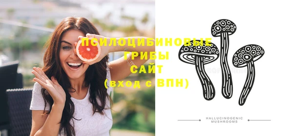 прущая мука Ельня