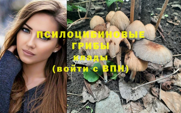 прущая мука Ельня