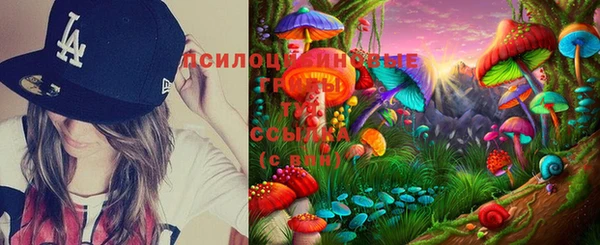 ECSTASY Елабуга
