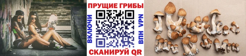 Купить  Змеиногорск  Псилоцибиновые грибы ЛСД 